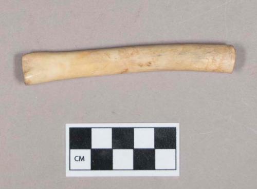 Cut and worked animal bone fragment, hollowed