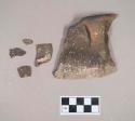Ceramic, earthenware rim, handle, and body sherds, undecorated, shell-tempered; all sherds crossmend
