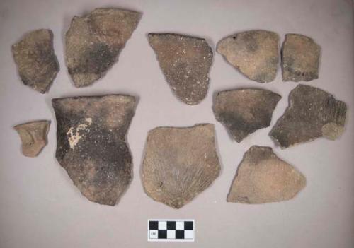 Ceramic, earthenware body, rim, and handle sherds, some cord-impressed, some incised and punctate with punctate rim over handles, some with incised rim, one with partially incised rim, one with one perforation, one punctate, shell-tempered; two rim sherds crossmend; three rim sherds and one body sherd crossmend