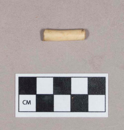 Cut and worked animal bone tube fragment, polished