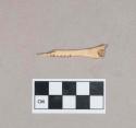 Worked animal bone fragment, incised along one edge