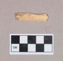 Worked animal bone fragment, flat, one end rounded