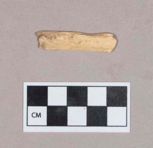 Worked animal bone fragment, flat, one end rounded