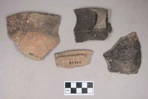 Ceramic, earthenware body, rim, and handle sherds, one cord-impressed, one with incised rim, two with incised rim above handle or lug, one with punctate body, one with incised lug, shell-tempered