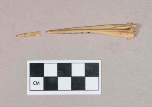 Worked animal bone awl fragments; two fragments crossmend