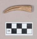 Worked antler tine, carved, possible figure or effigy, possible beak shape