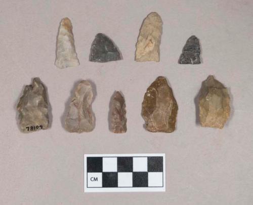 Chipped stone, biface fragments; flake, with cortex; projectile points, triangular and lanceolate, some possible preforms