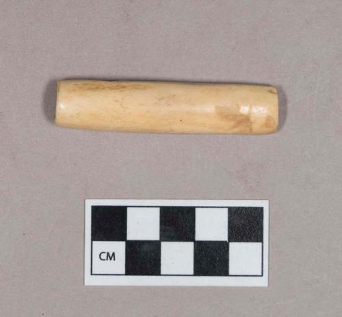 Worked animal bone, likely tube fragment, polished