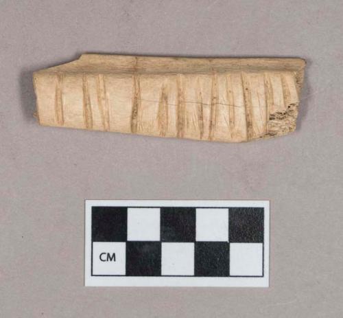 Worked animal bone fragment, rib fragment, incised with parallel lines