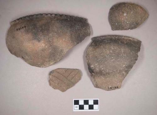 Ceramic, earthenware rim and body sherds, one with molded rim, two with incised rim, two cord-impressed, one undecorated, one incised, shell-tempered