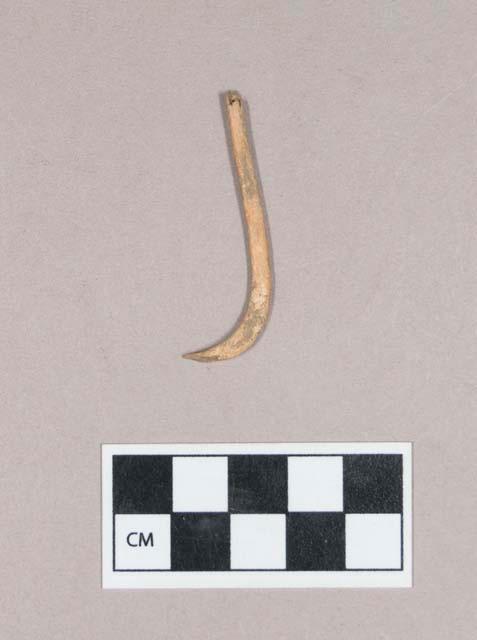 Worked animal bone fragment, possible fish hook or baculum fragment