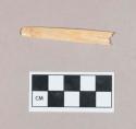Worked animal bone fragment, flat, rounded at one end, incised, one perforation, polished