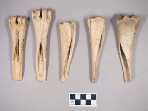 Worked animal bone tool fragments, some made from proximal and distal metapodials, possible beamers