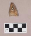 Chipped stone, projectile point, triangular, with cortex