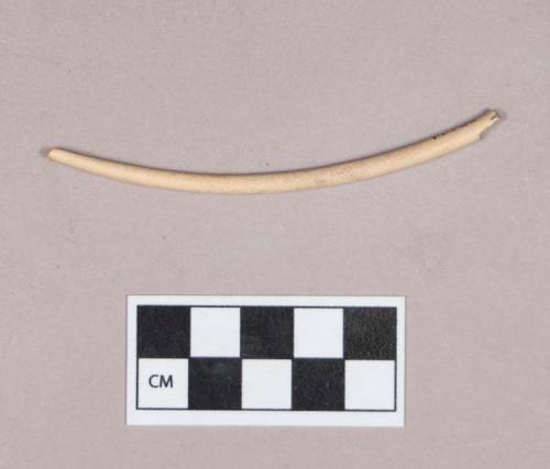 Worked animal bone object fragment, cylindrical, curved, perforated at one end