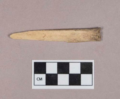 Worked animal bone fragment, worked flat at one end, possible partial perforation