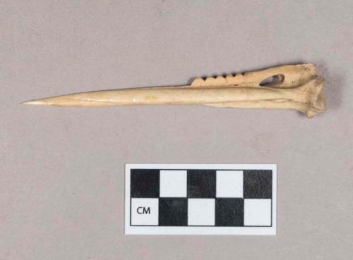 Worked animal bone awl, polished, notched along one side