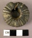 Echinite (fossil sea urchin)