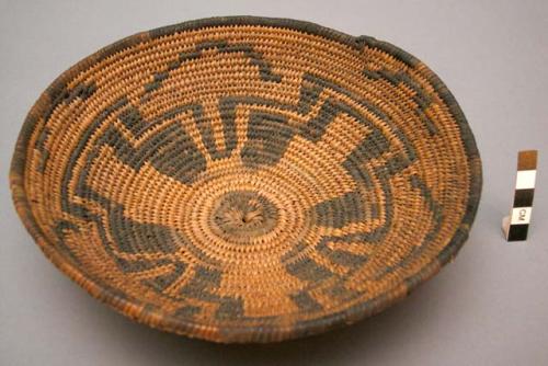 Small basket tray. Made of willow or cottonwood and devil's claw.