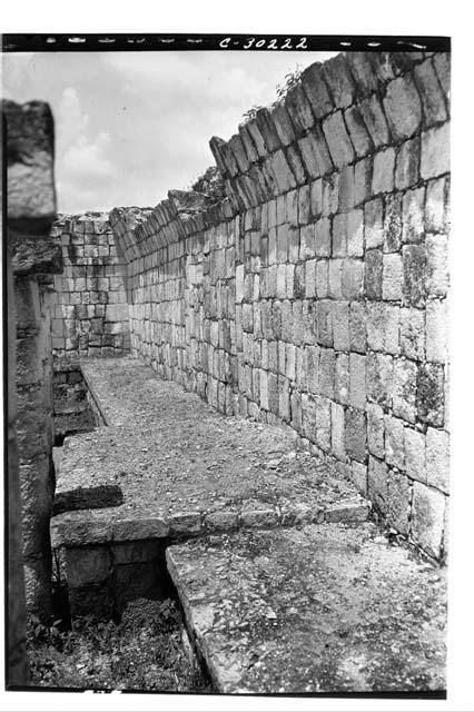 Bench flanking east wall of colonnade at the Temple of Wall Panels