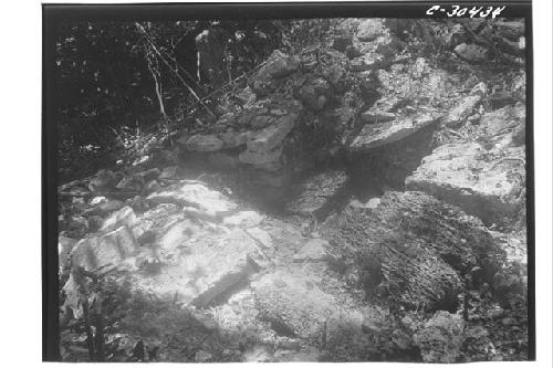 Fallen columns of Structure XXX at Coba B