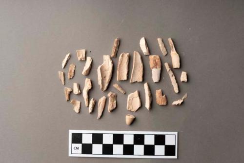 Fragments of animal tooth