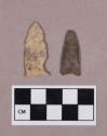 Chipped stone, projectile points, triangular and stemmed
