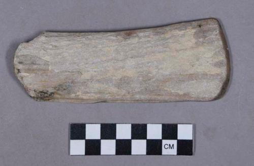 Organic, utilized antler, rectangular shaped, sharpened edge