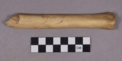 Organic, bone utilized, modified shaft fragment