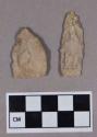 Chipped stone, projectile point, includes triangular