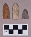 Chipped stone, projectile points, two lanceolate, one triangular with possible fluting on one side