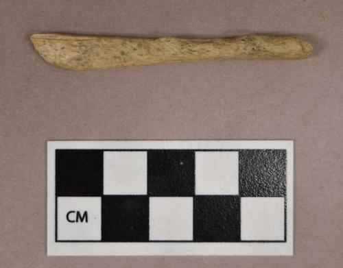 Organic, utilized bone fragment, one end flattened and shaped