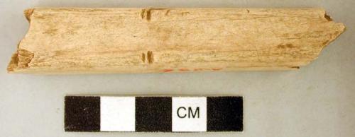 Organic, faunal remain, modified tibia shaft, cut marks