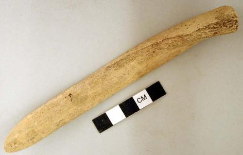 Worked animal bone tool, flattened at one end