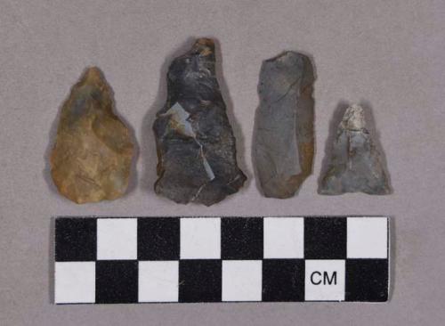 Chipped stone, bifaces, bifacial fragments, triangular projectile points, and flake