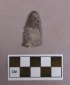 Chipped stone, projectile point