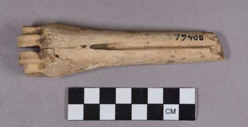 Organic, utilized bone fragment, possible scraper