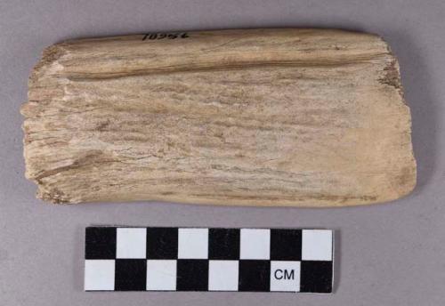 Organic, utilized antler fragment, rectangular object with sharpened edge