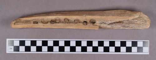 Organic, utilized antler fragment, seven partially drill holes, abrasion marks, gnaw marks