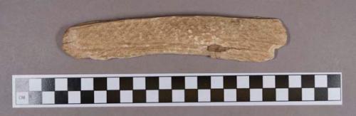 Organic, utilized antler, oblong object with sharpened edge