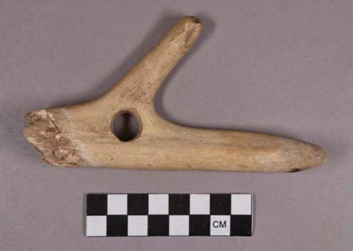 Organic, utilized antler, forked antler fragment, perforated