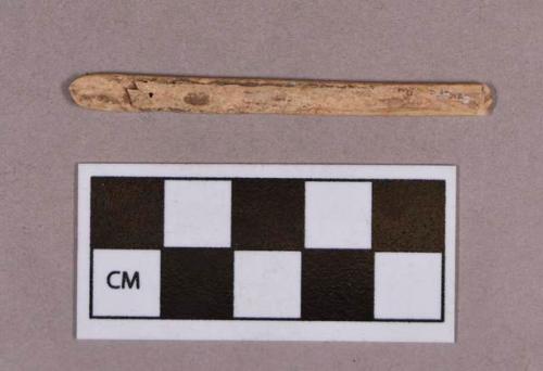 Organic, utilized bone fragment, tapered, reed-shaped object