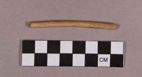 Organic, utilized bone fragment, rod-shaped object with flattened tip