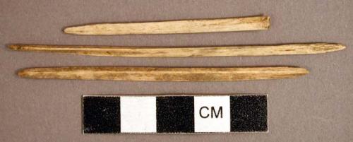 Organic, utilized bone, thin, reed-shaped and pointed objects
