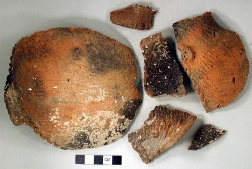 Coarse earthenware body, base, and rim sherds, cord impressed, incised rim, with flat lugs at rim, shell temper; all sherds crossmend to form shallow vessel