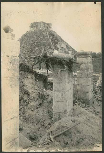 Temple of Warriors, tree stump on top of column