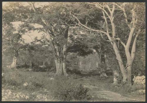 Stone monuments or columns in distance