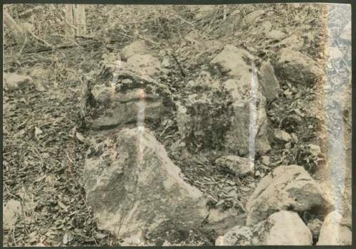 Broken fragments of fallen stela