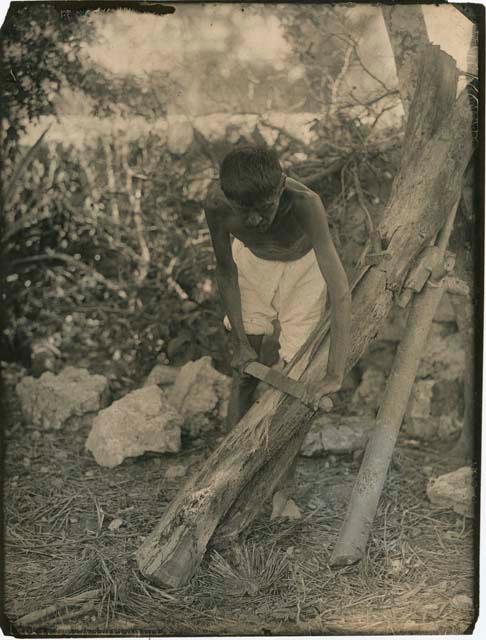 Man scraping henequin