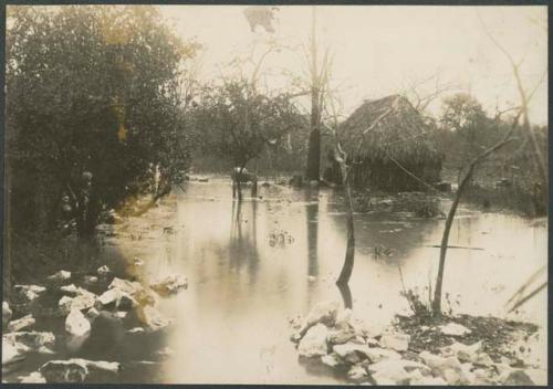 Juan Olalde's yard, showing flood condition